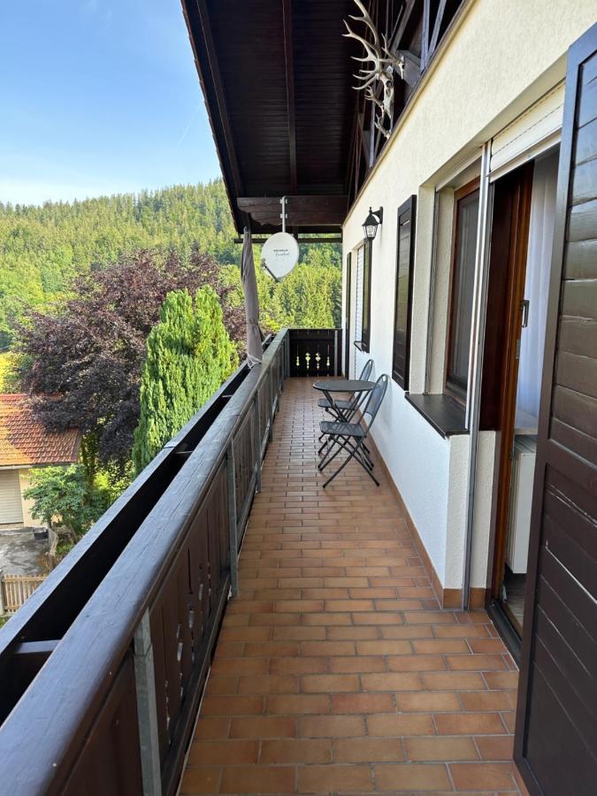Haus Monica Apartman Bodenmais Kültér fotó